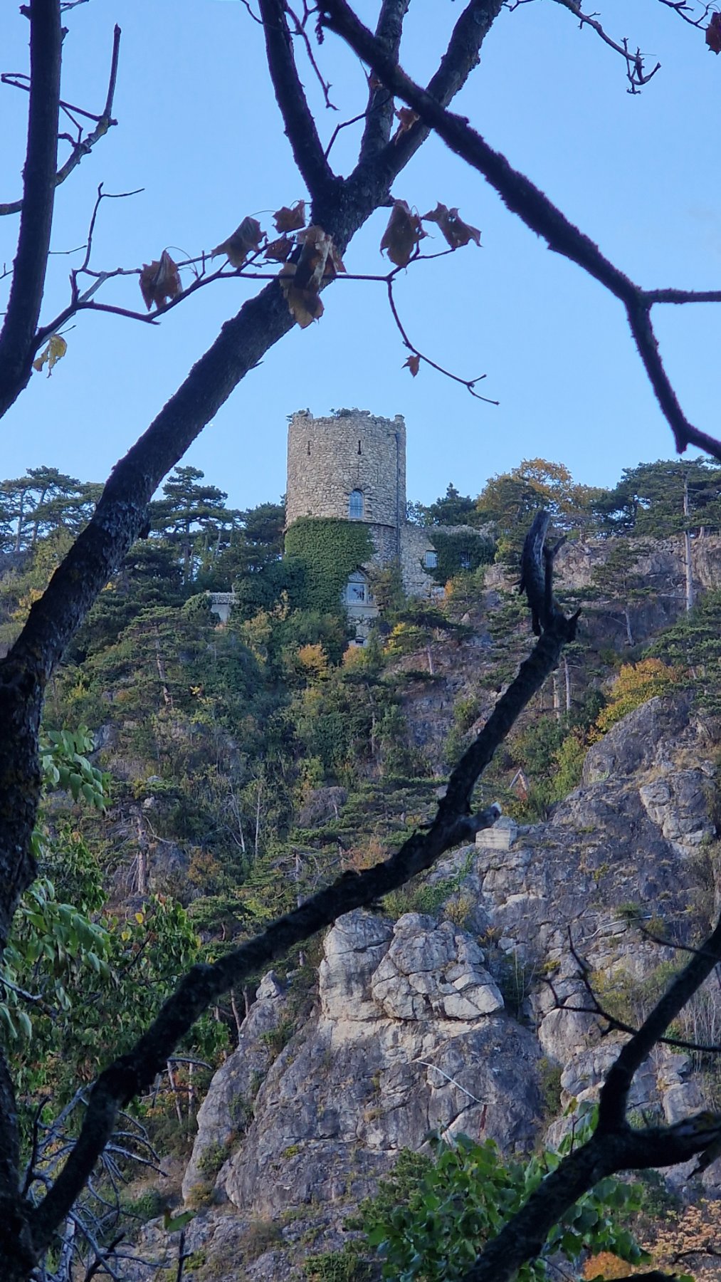 Schwarzer Turm in Mödling