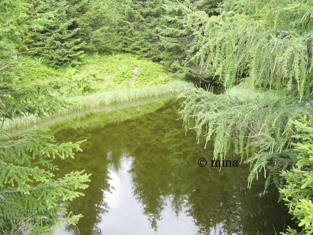 schwarzes loch
