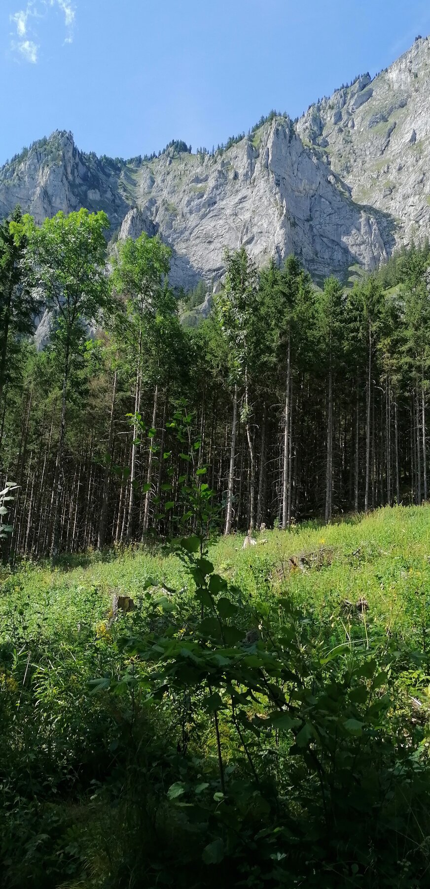 Seemauer beim Leopoldsteiner See