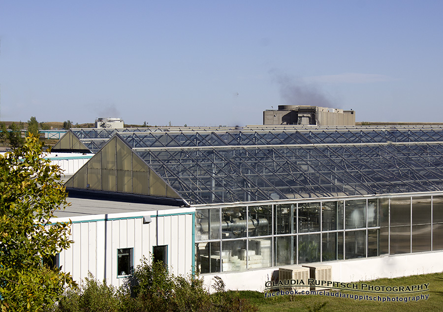 Shand Power Greenhouse, Saskatchewan