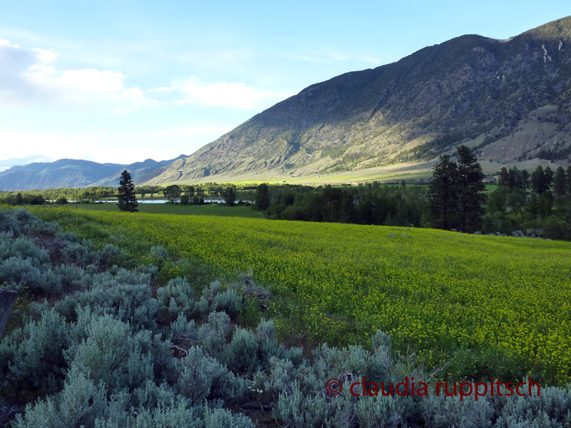 Similkameen Valley (BC, Canada)