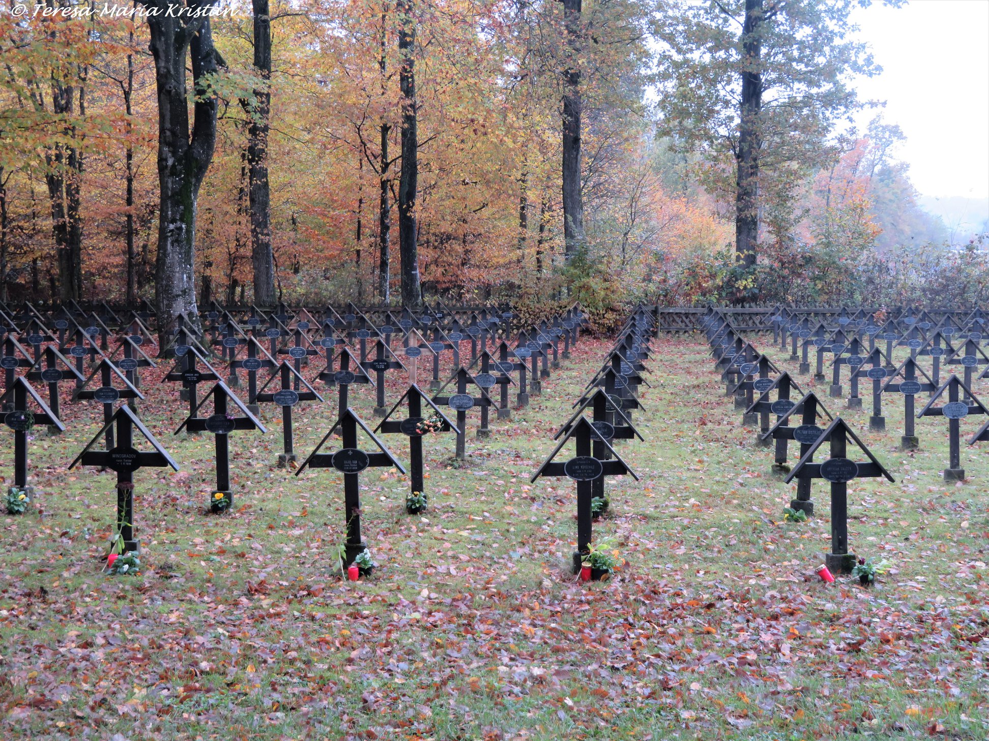 Soldatenfriedhof Lang Lebring