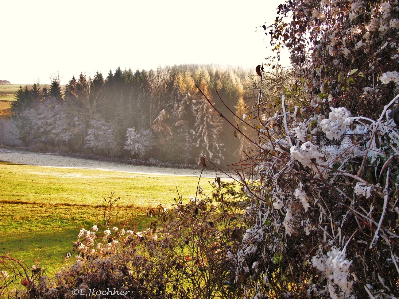 Sonne gegen Eis