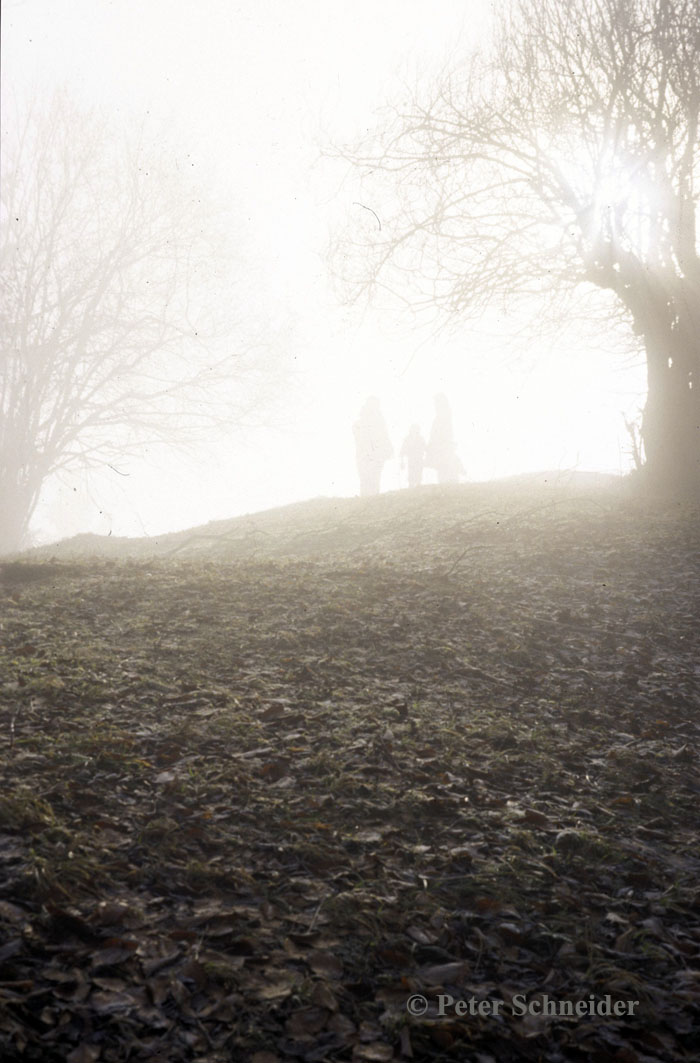 Spaziergang im Nebel