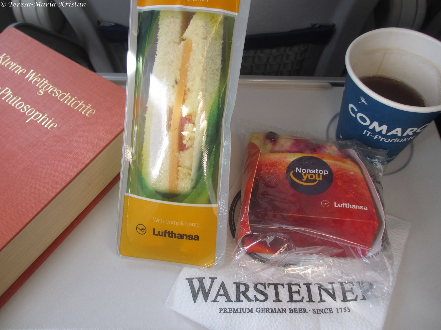 Speisenanbot Lufthansaflug