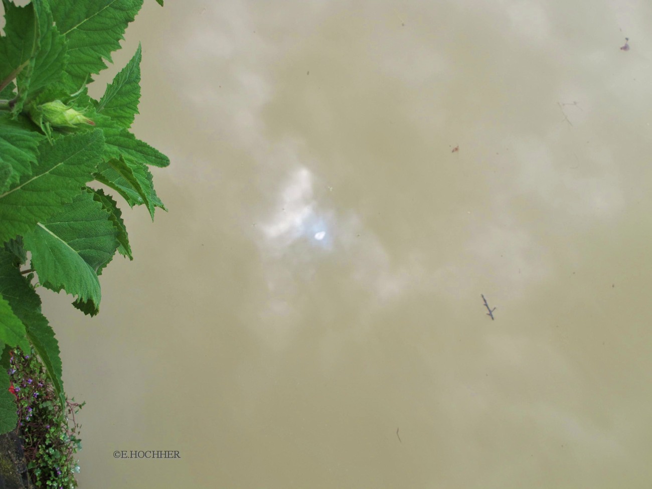 Spiegelbild