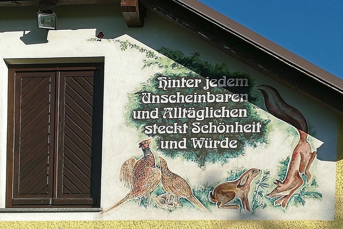 Spruch