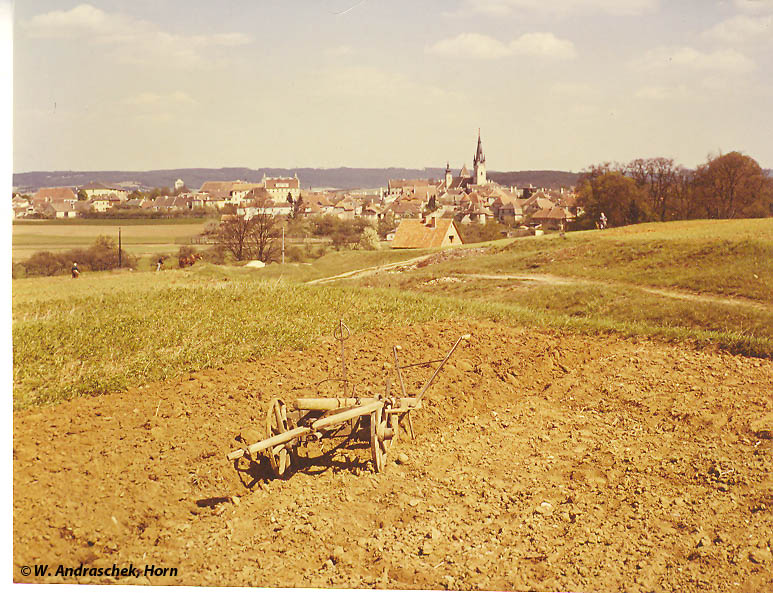 Stadt Horn - Feldbestellung im Jahre 1959.