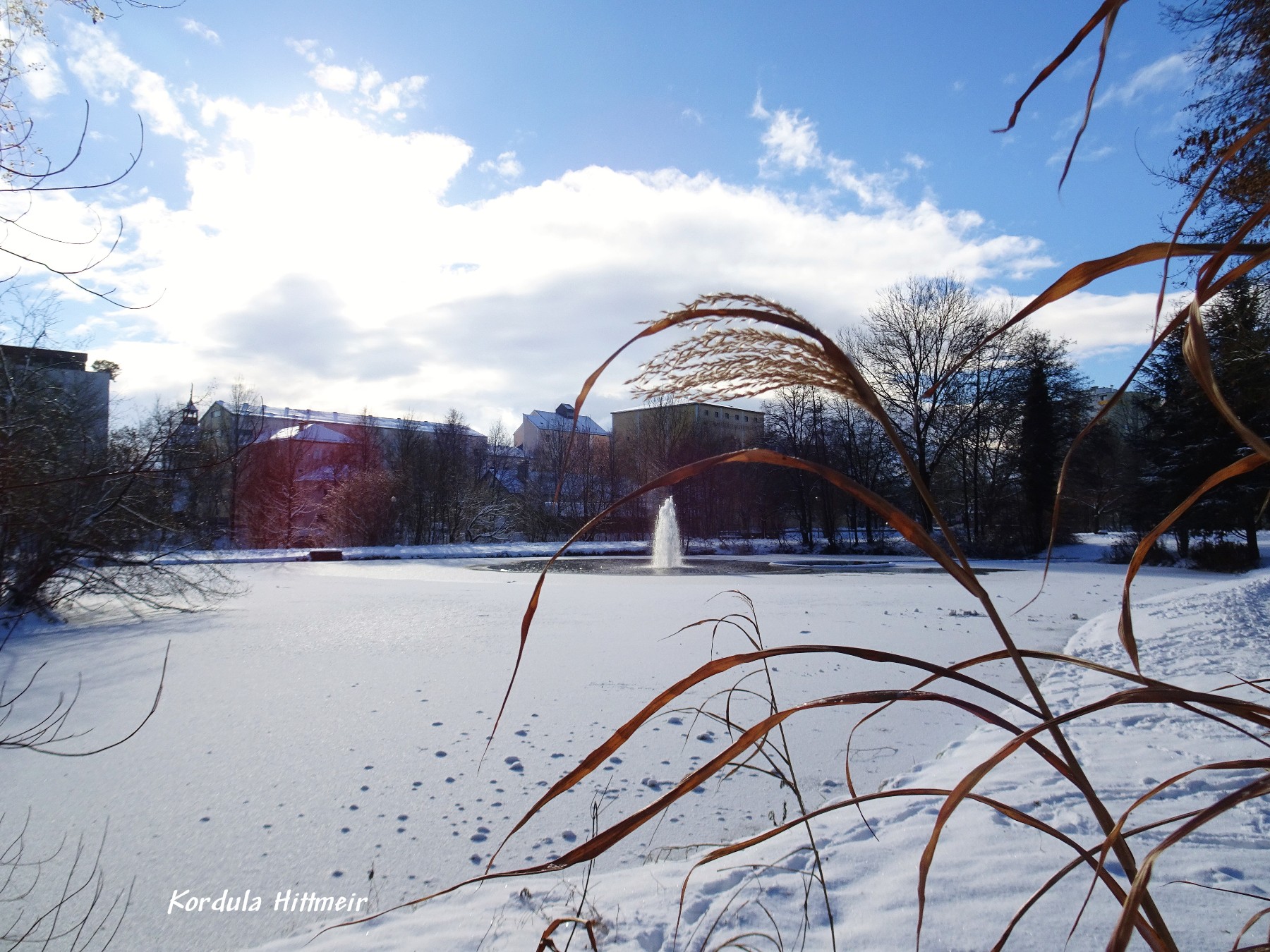 Stadtpark