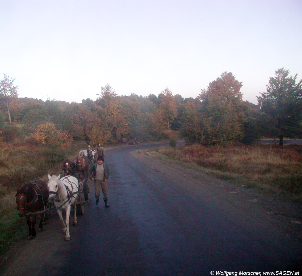 Strasse im Herbst, Rumänien