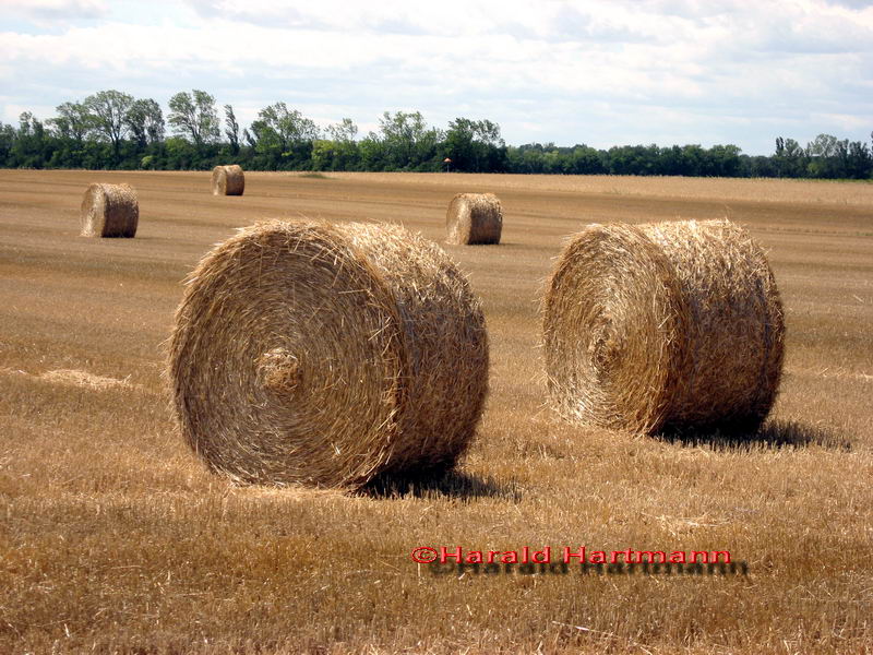 Strohballen