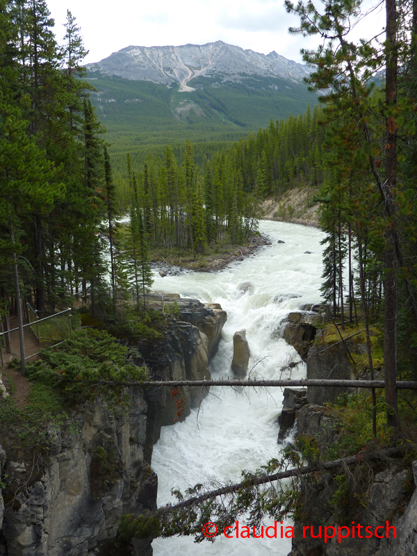 Sunwapta Falls, Jasper Nationalpark, Alberta, Canada