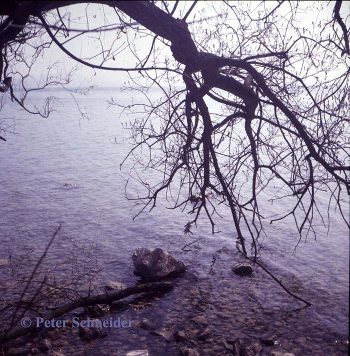 Traunsee, Toscanapark