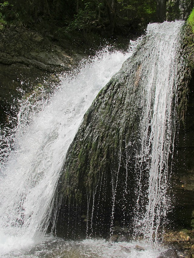 Trefflingfall