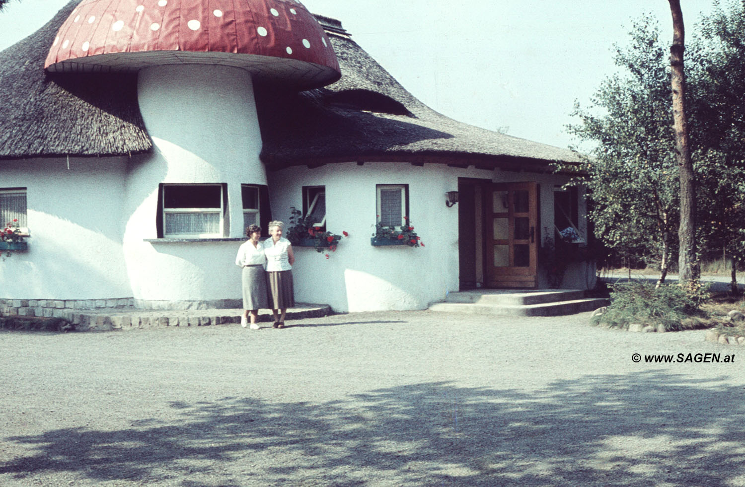 unbekannter Pilzkiosk / Milchpilz