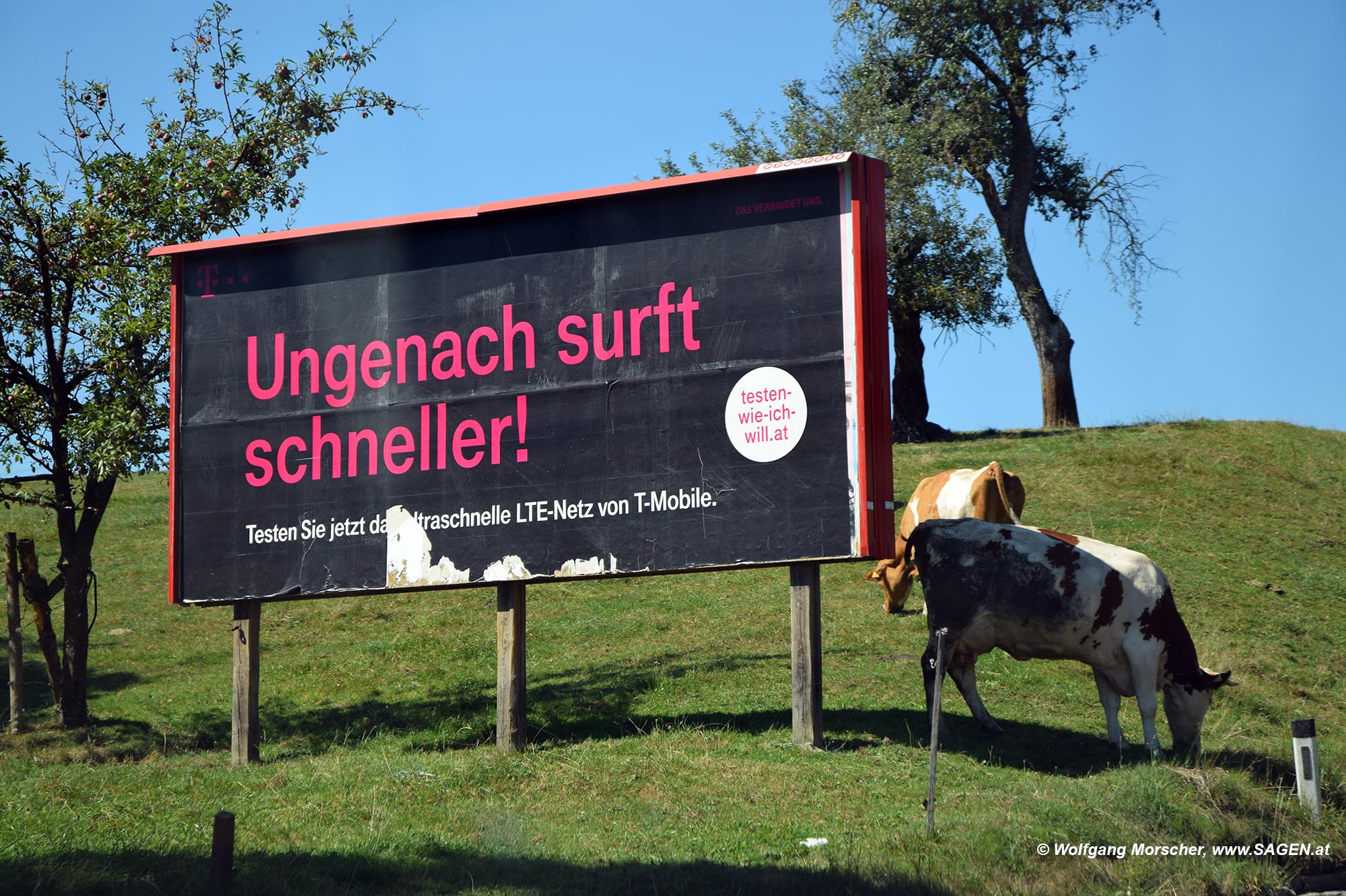 Ungenach, Werbung Kuhegal