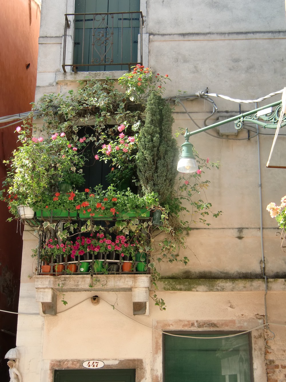 Venedig - Fenstergarten oder Gartenfenster?