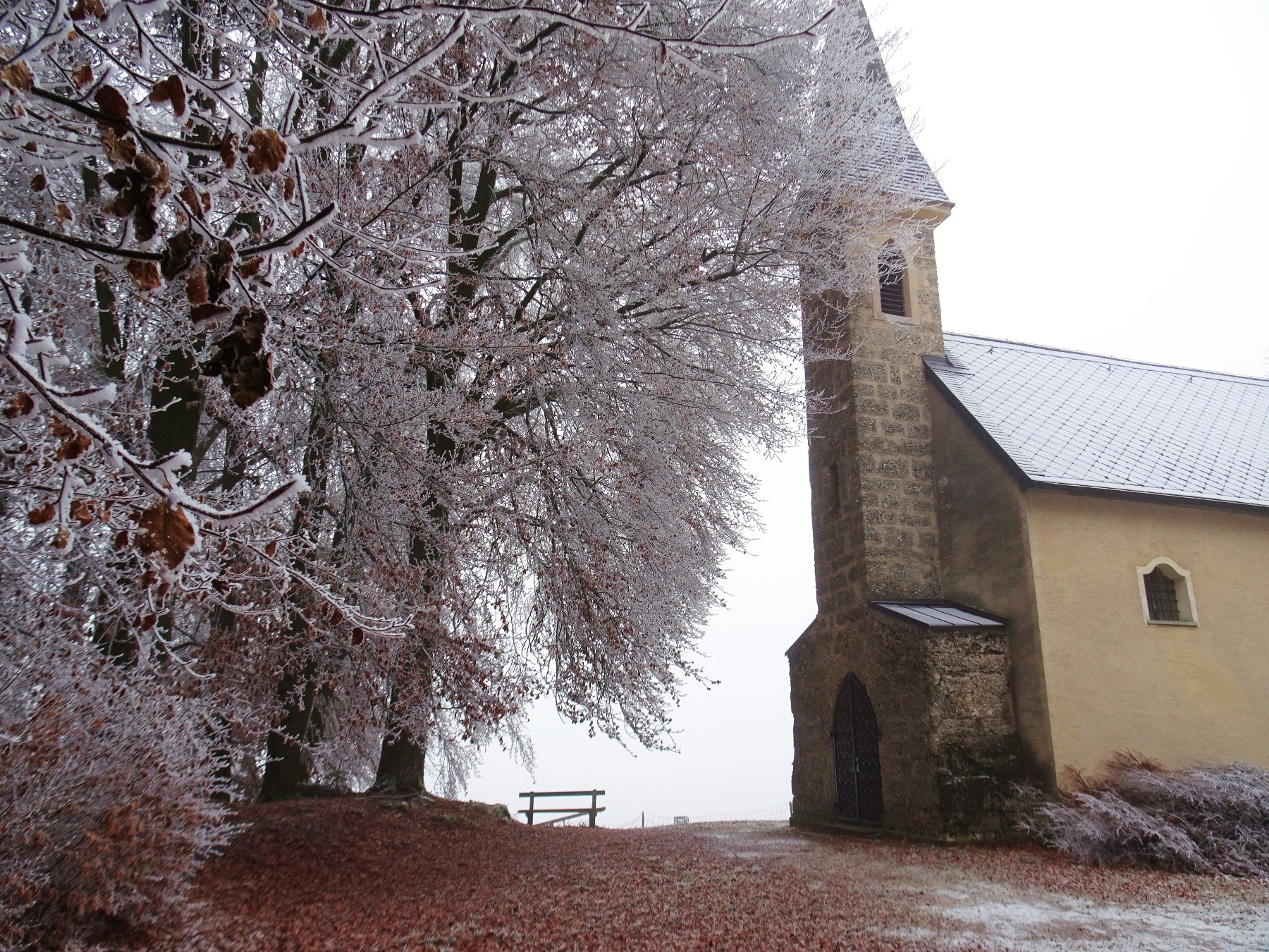 Vituskirche