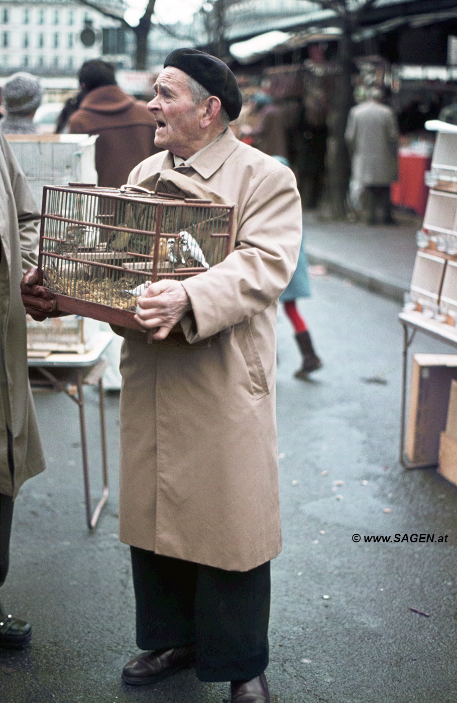 Vogelhändler Vogelmarkt Paris