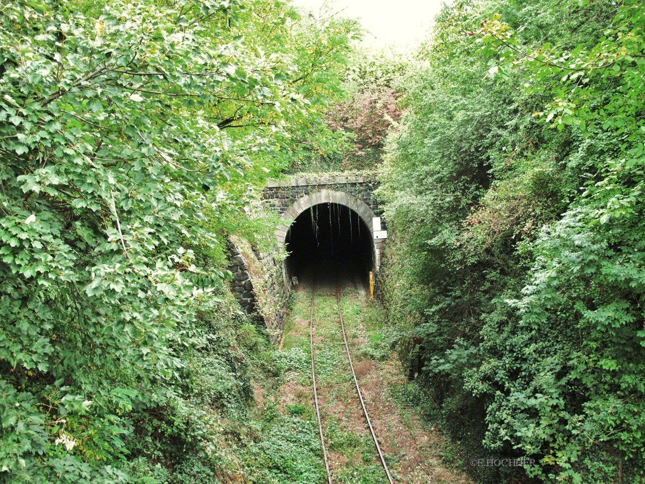 Wachau-Bahn-Tunnel
