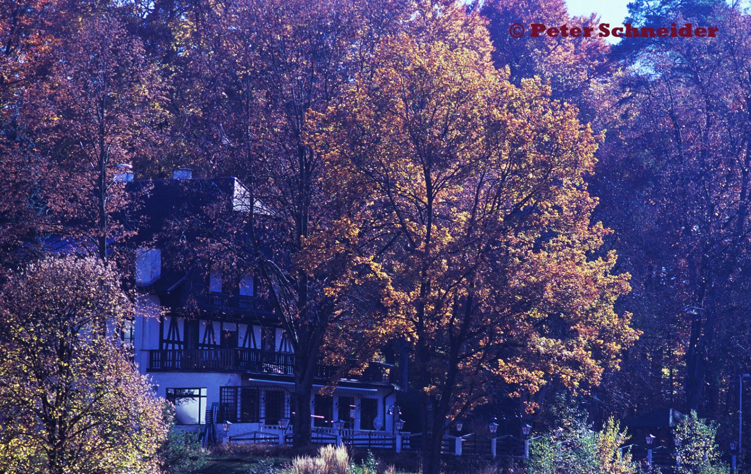 Waldhotel Marienbrücke