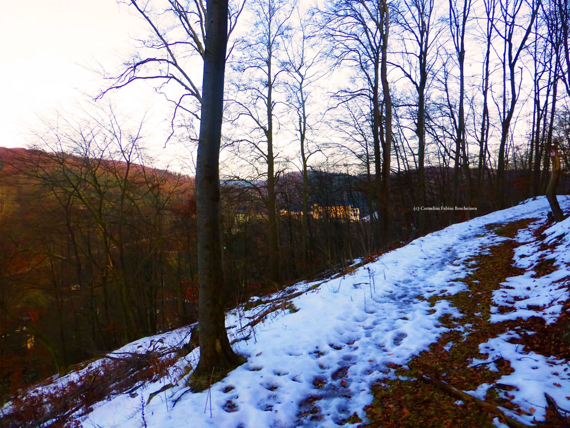 Wanderung zur Lutherbuche in Stolberg/Südharz.