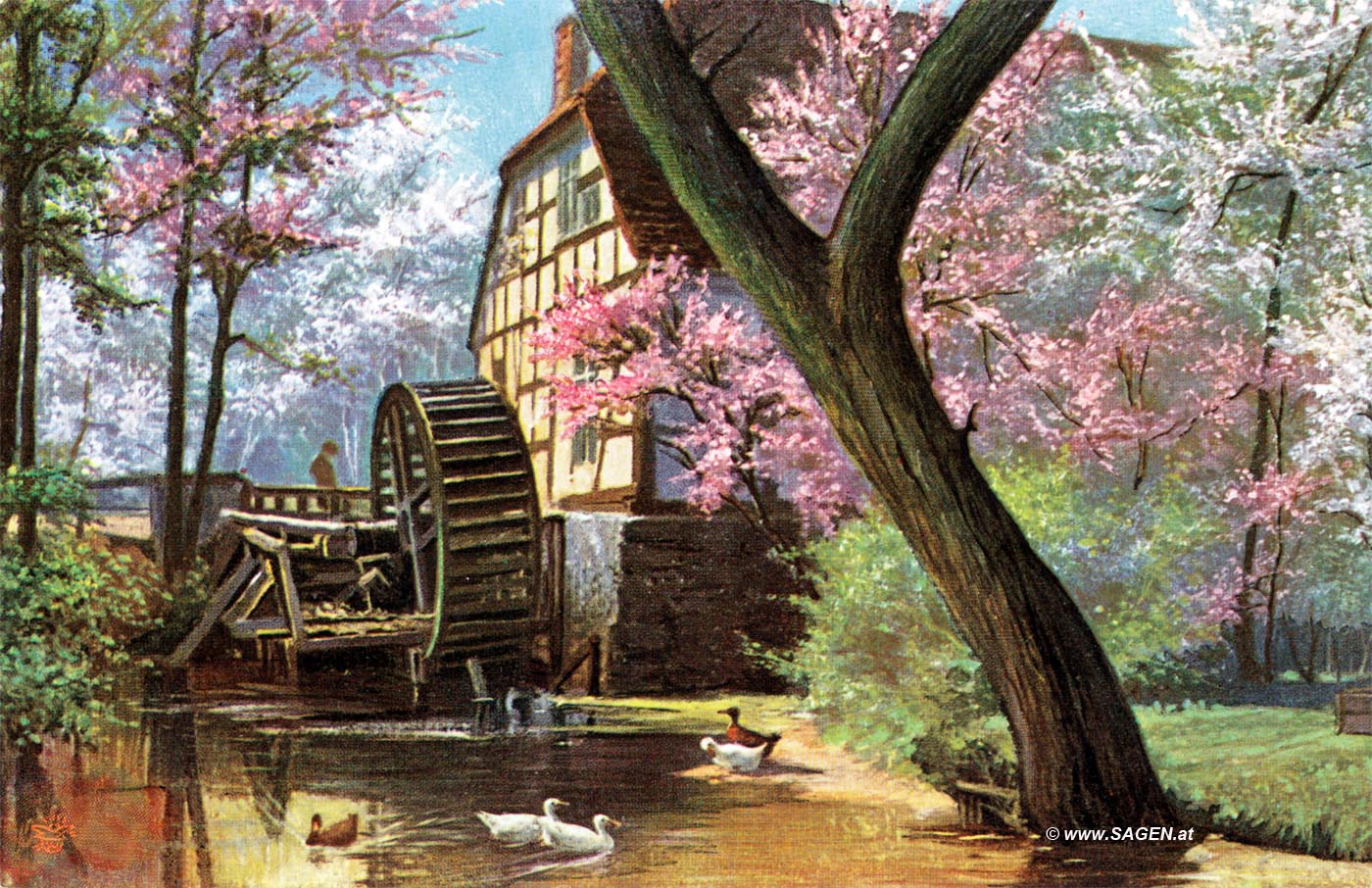 Wassermühle und Baumblüten