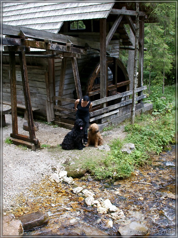 Wassermühle
