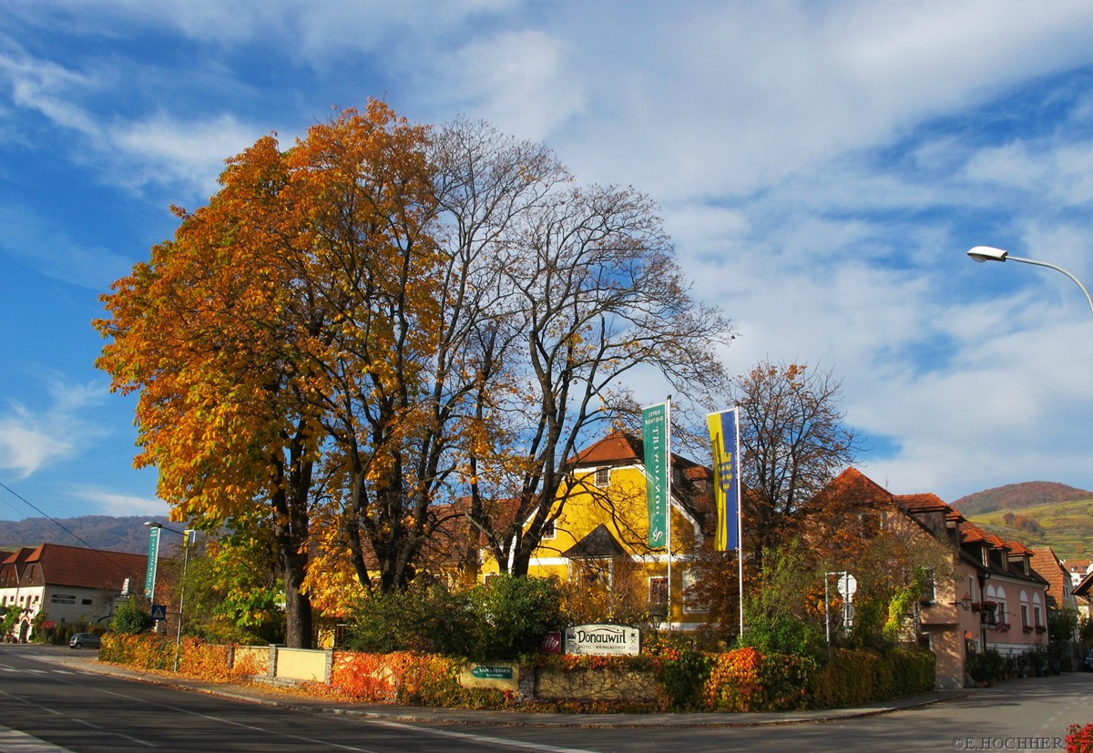 Weißenkirchen in der Wachau im Herbstkleid