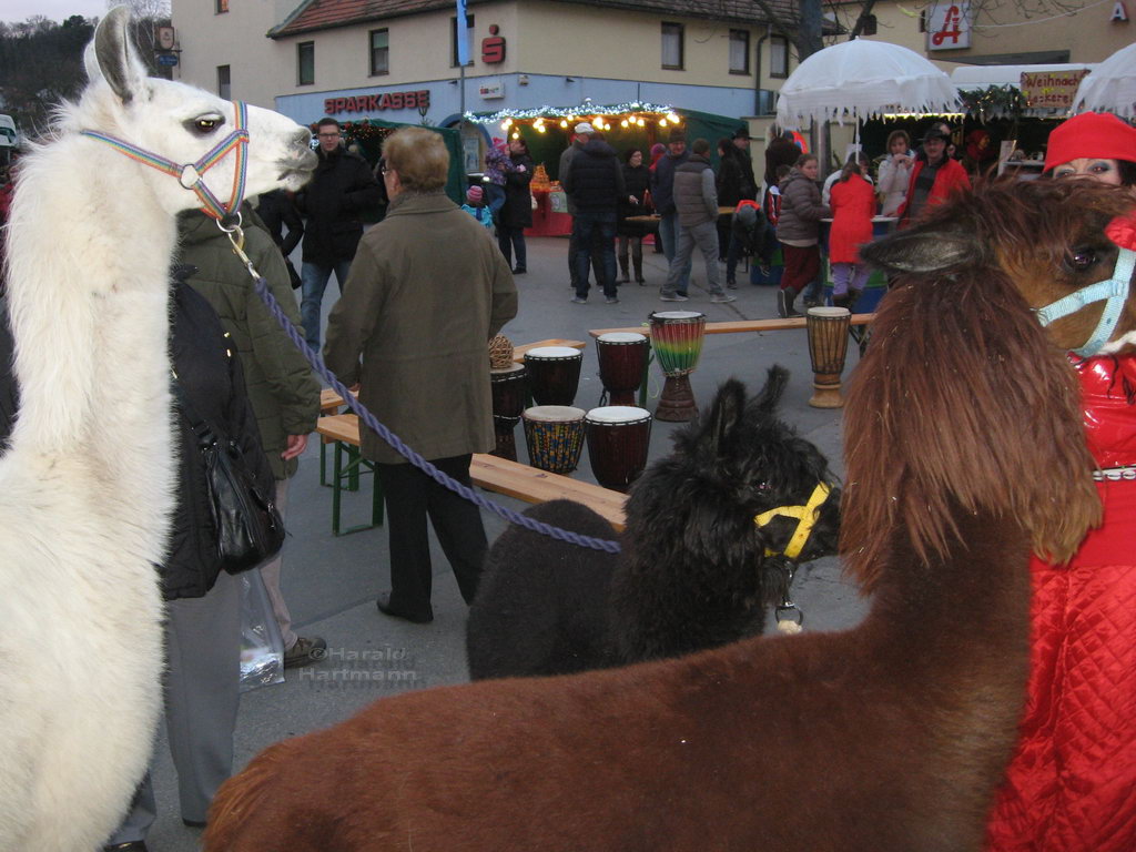 Weihnachtsmarkt