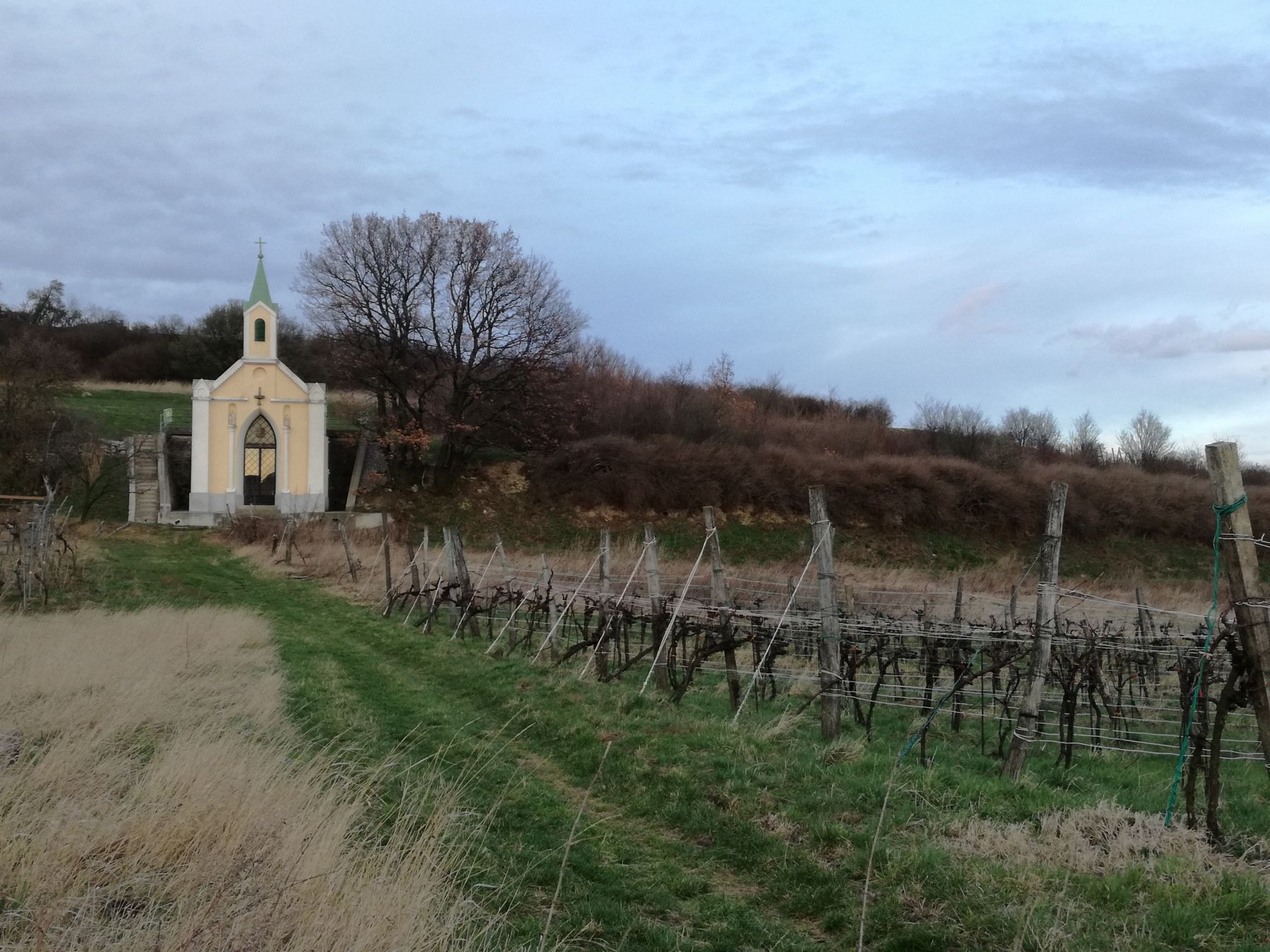 Weingartenkapelle in Gumpoldskirchen