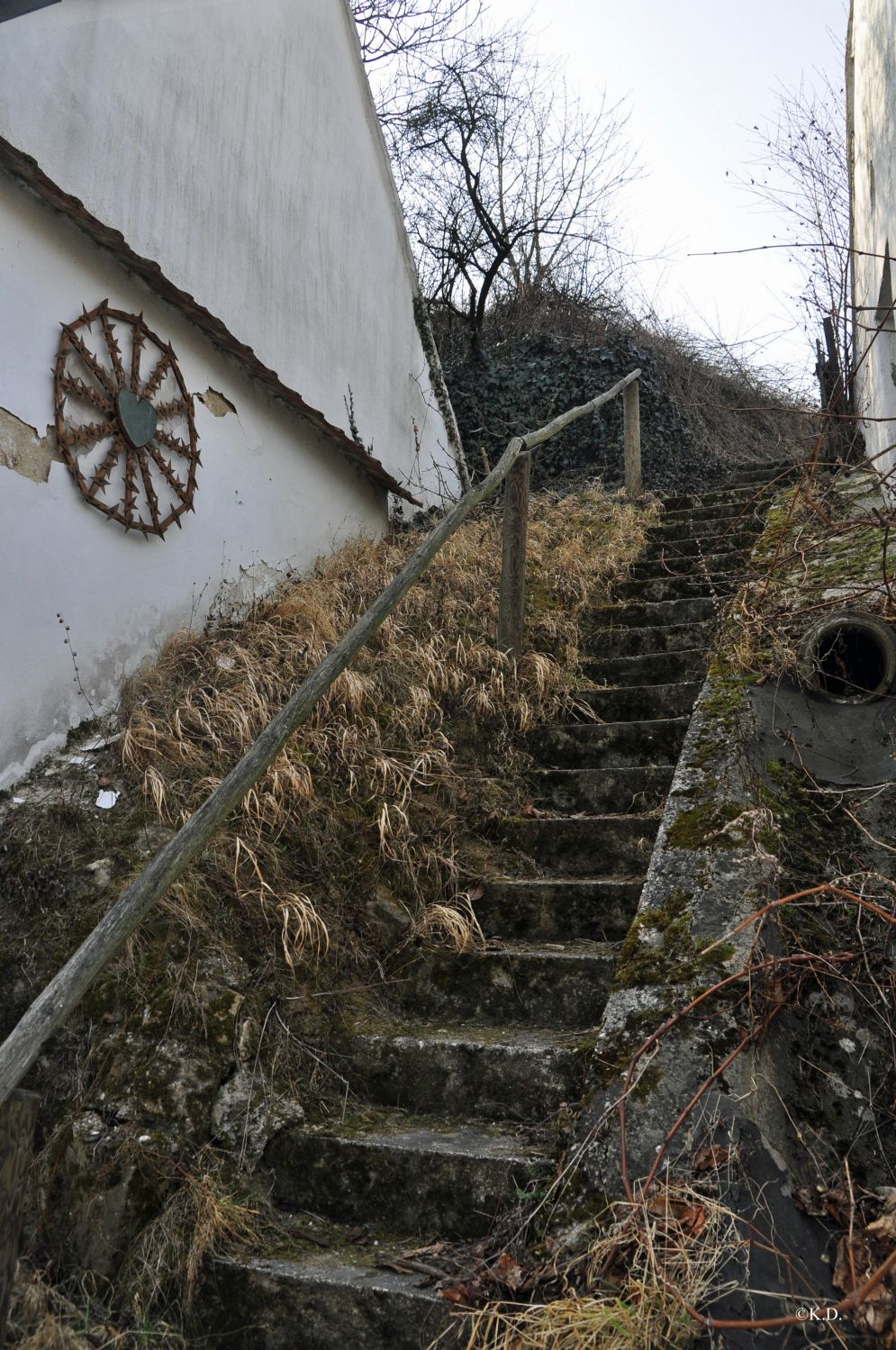 Weinkeller in Zöbing im Kamptal (NÖ)