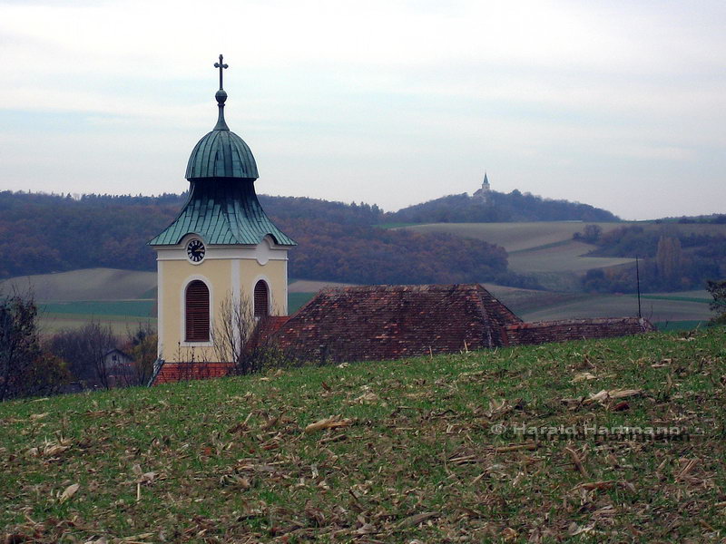 Weinviertler Landschaft