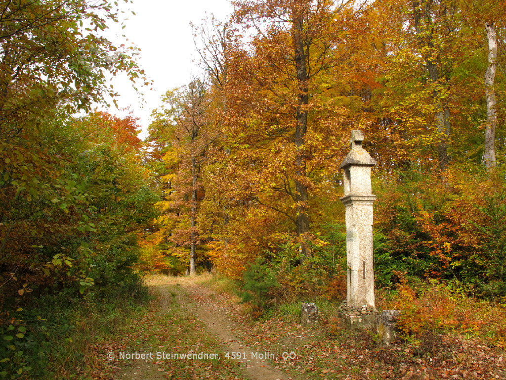 Weisses Kreuz an der "Via Sacra"