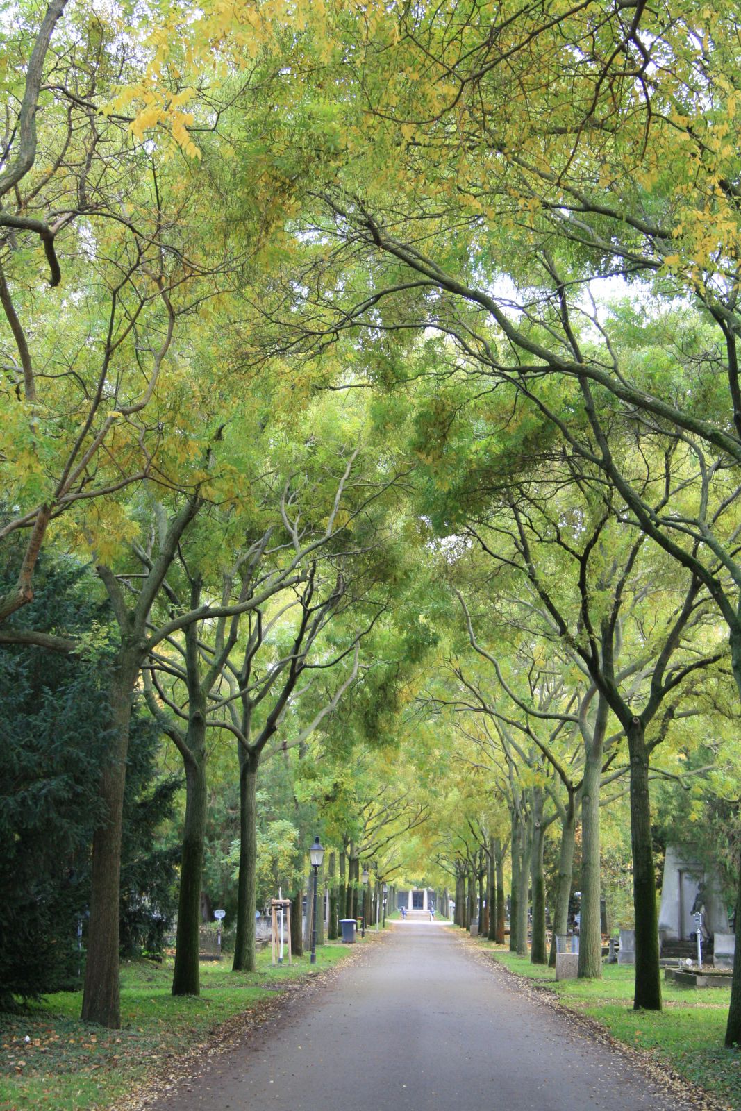 Wiener Zentralfriedhof