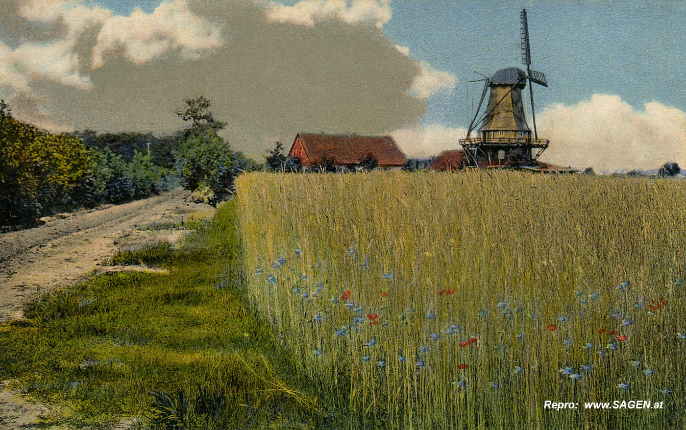 Windmühle im Delmenhorster Geest