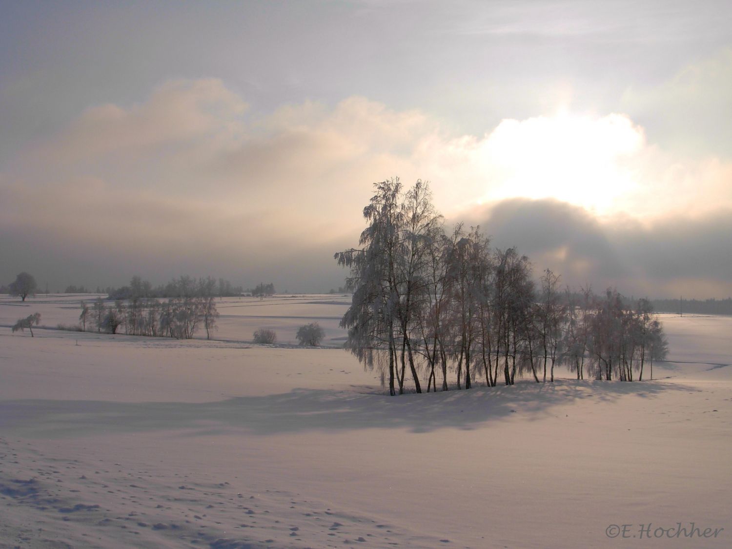 Winter im Waldviertel