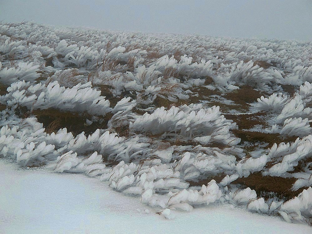 winterlich