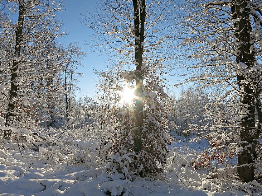 Wintersonne