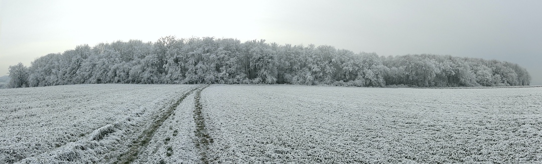 Winterwaldpanorama