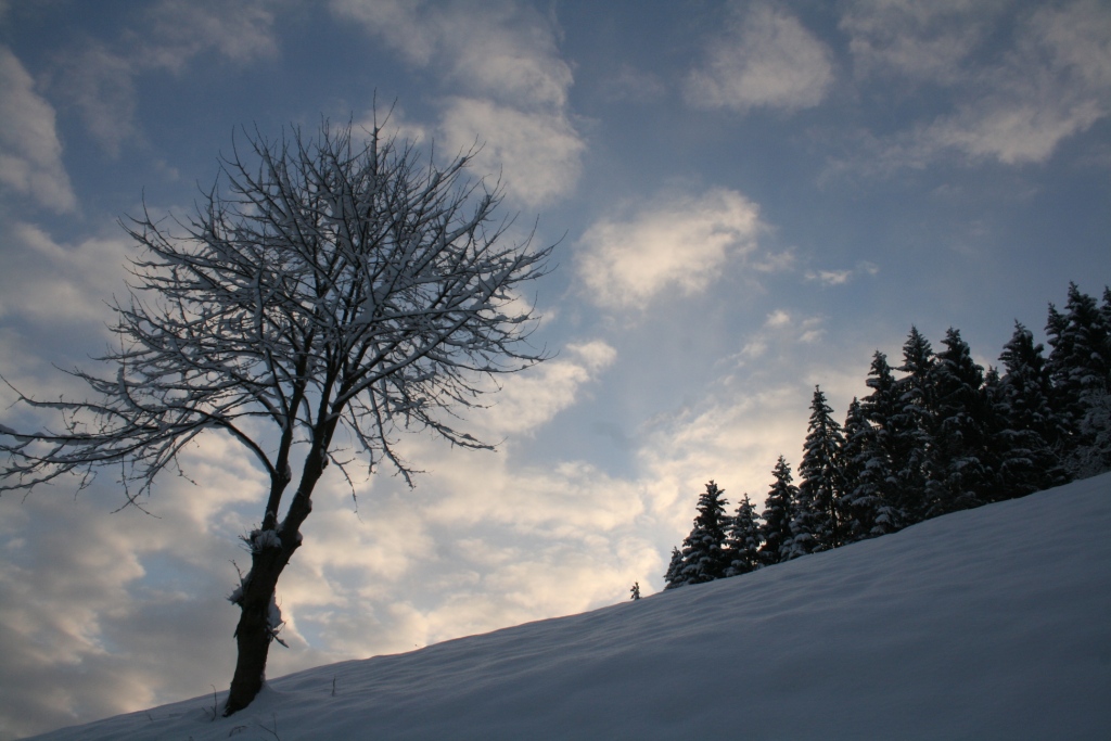 Winterzauber im Ybbstal