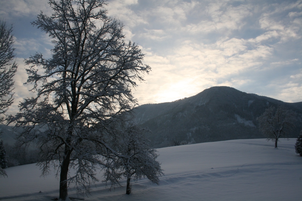 Winterzauber im Ybbstal