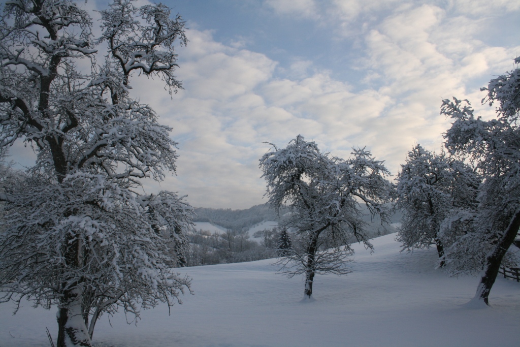 Winterzauber im Ybbstal