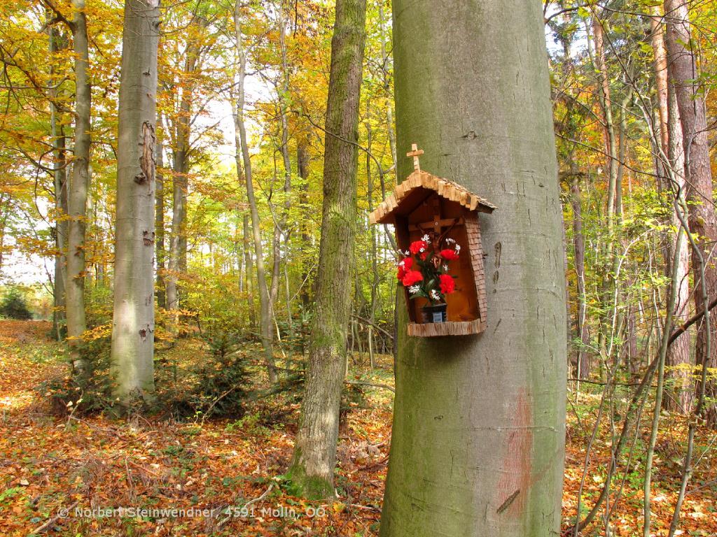 Winzige Holzschindeln ...