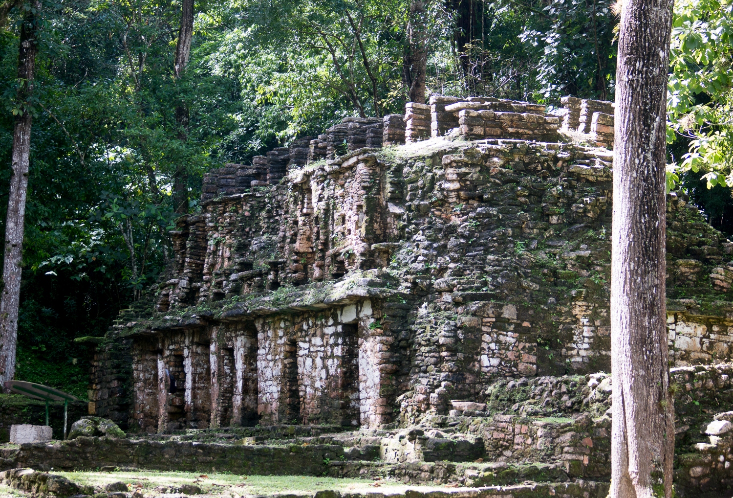 Yaxchilán - 1