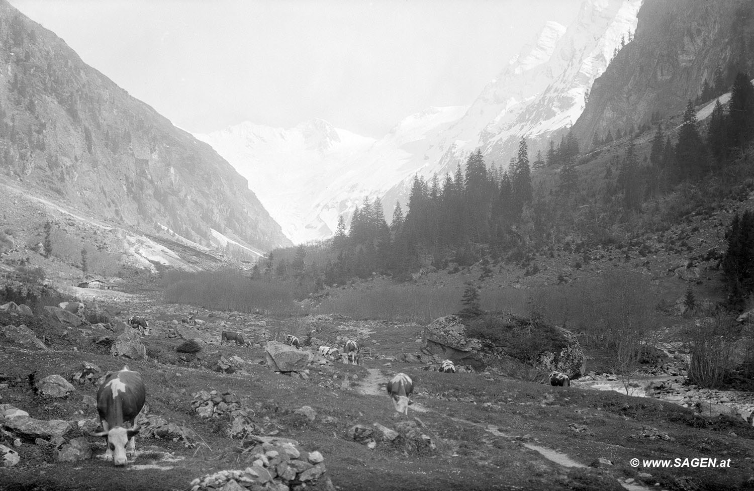Zillertal, Floitengrund Baumgartenalm mit Lawinenkegel, 14. Juli 1919