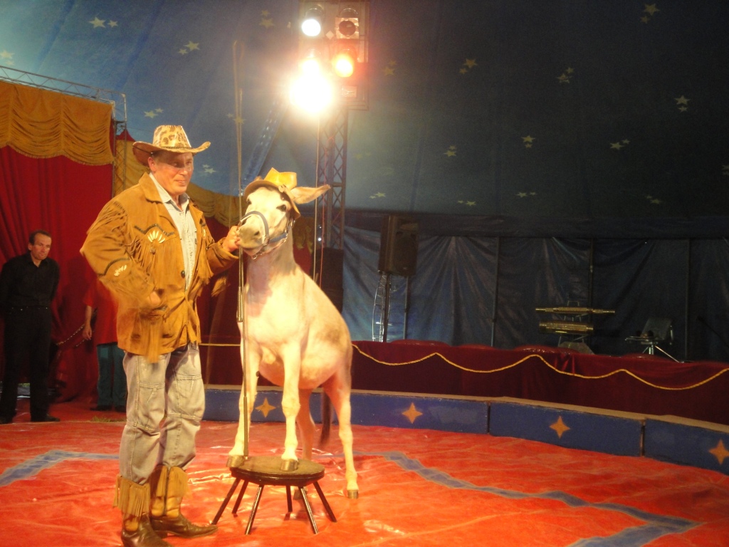 Zirkus Salto