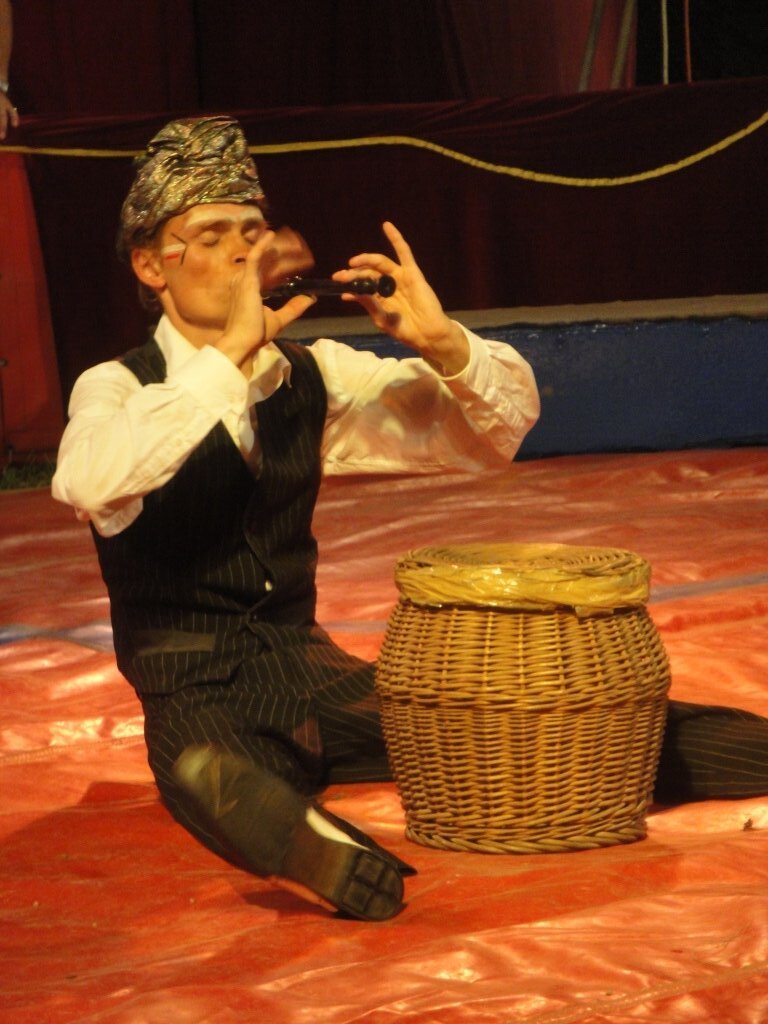 Zirkus Salto
