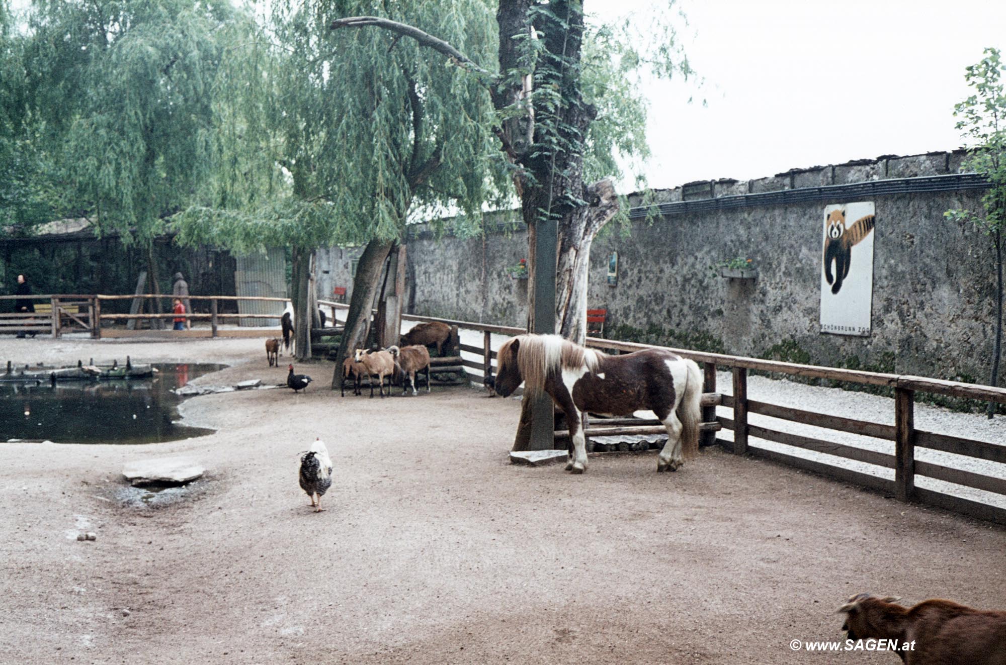 Zoo Schönbrunn, 1970er Jahre